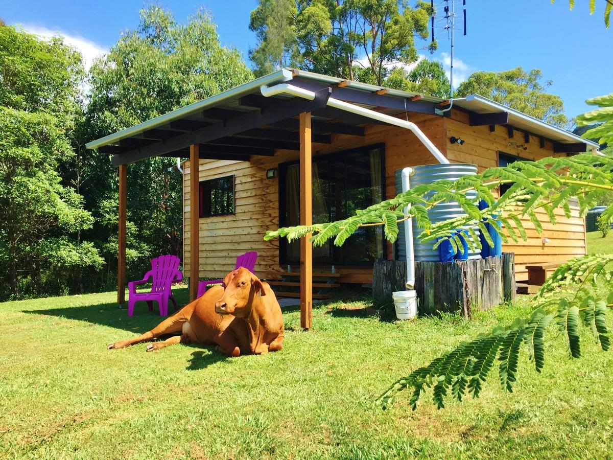 Timber Gym Pet Friendly Cabin Villa Montville Exterior foto