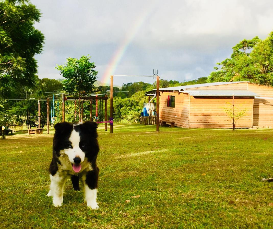 Timber Gym Pet Friendly Cabin Villa Montville Habitación foto